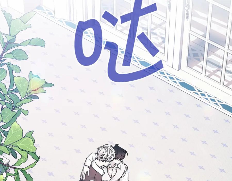 第219页