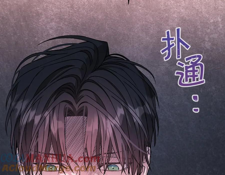 第205页