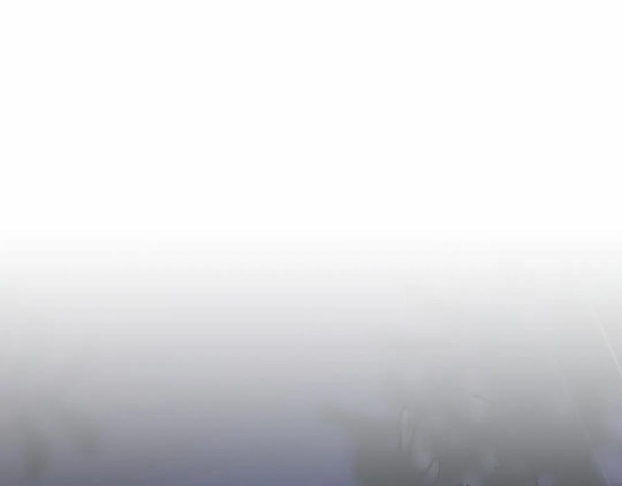 第250页