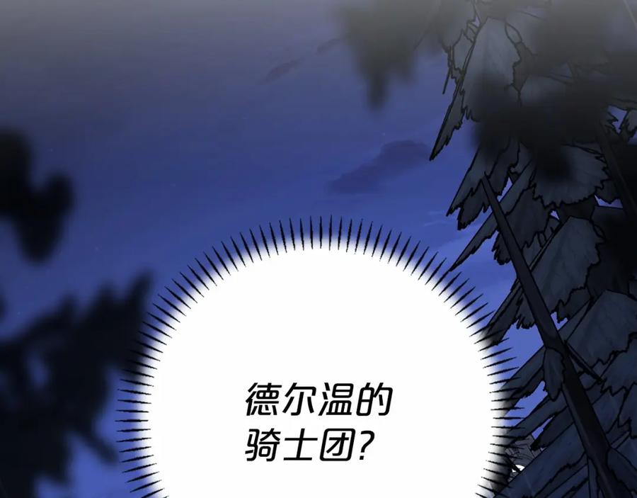 第251页