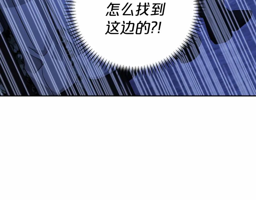 第255页