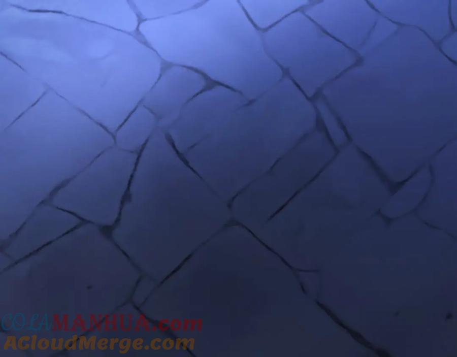 第265页
