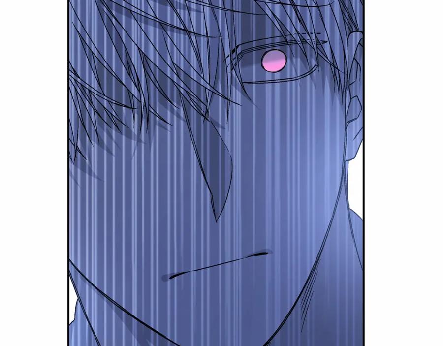 第294页