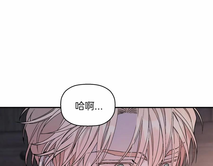 第240页