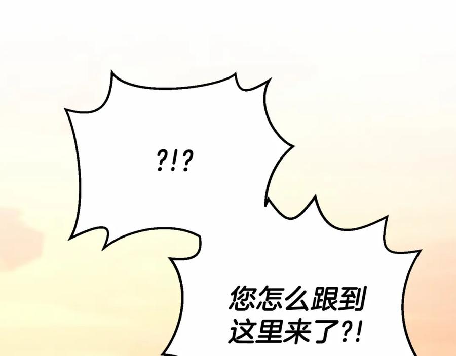 第247页
