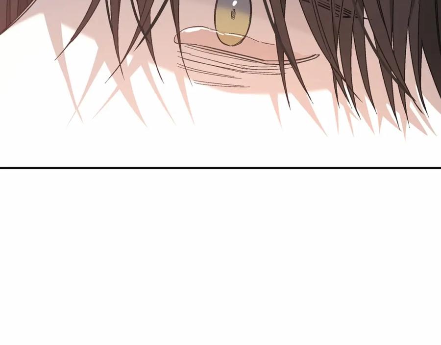 第268页