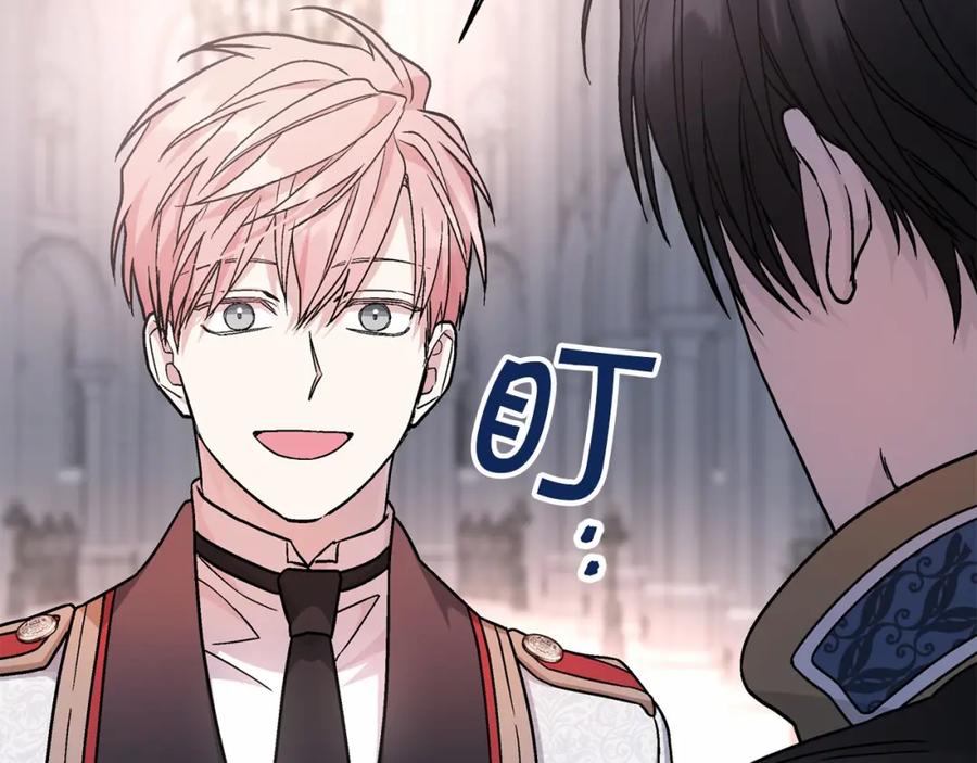第216页