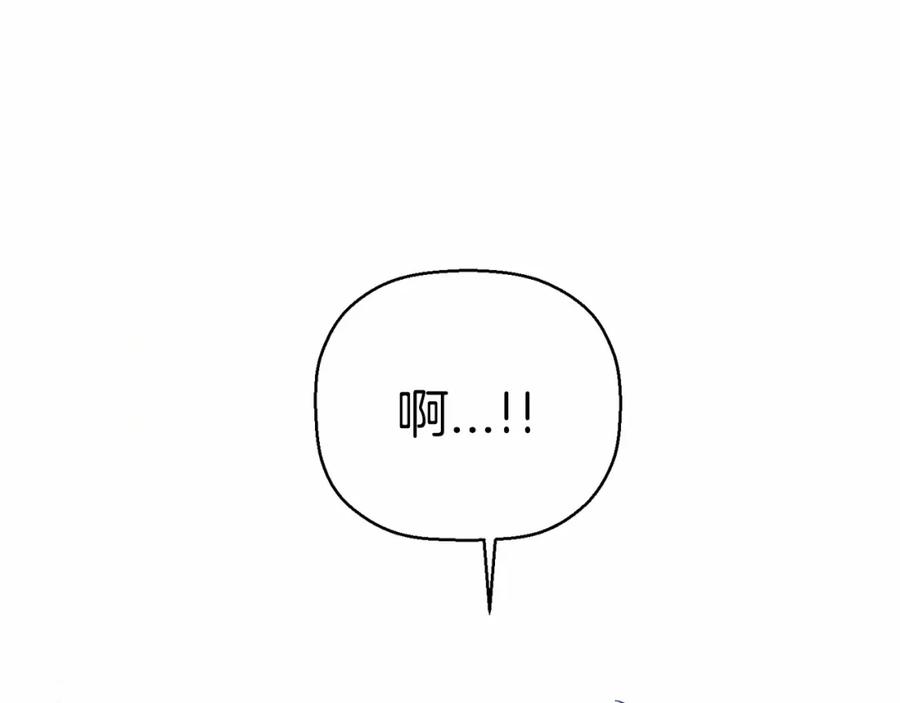 第244页