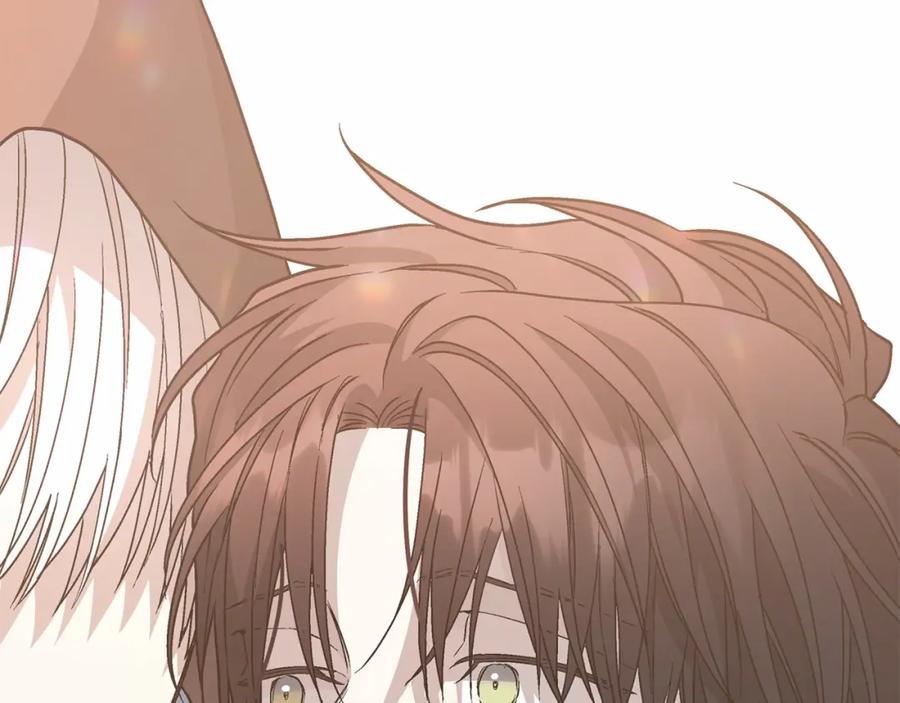 第270页
