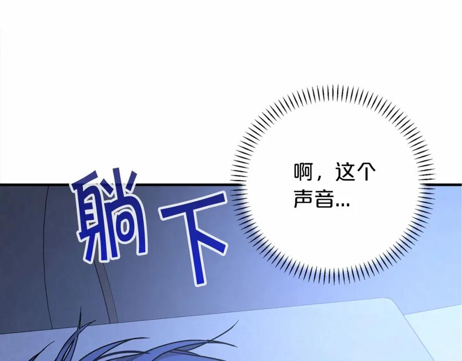 第215页