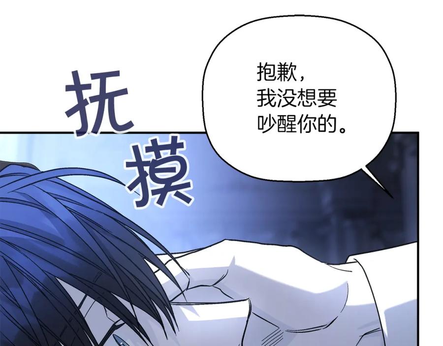 第223页