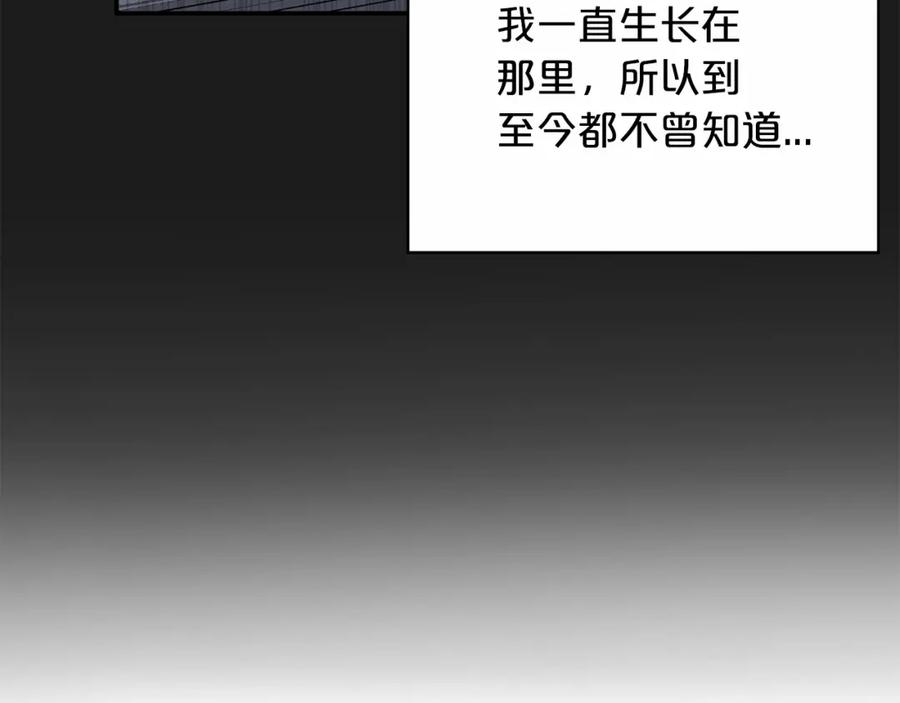 第255页