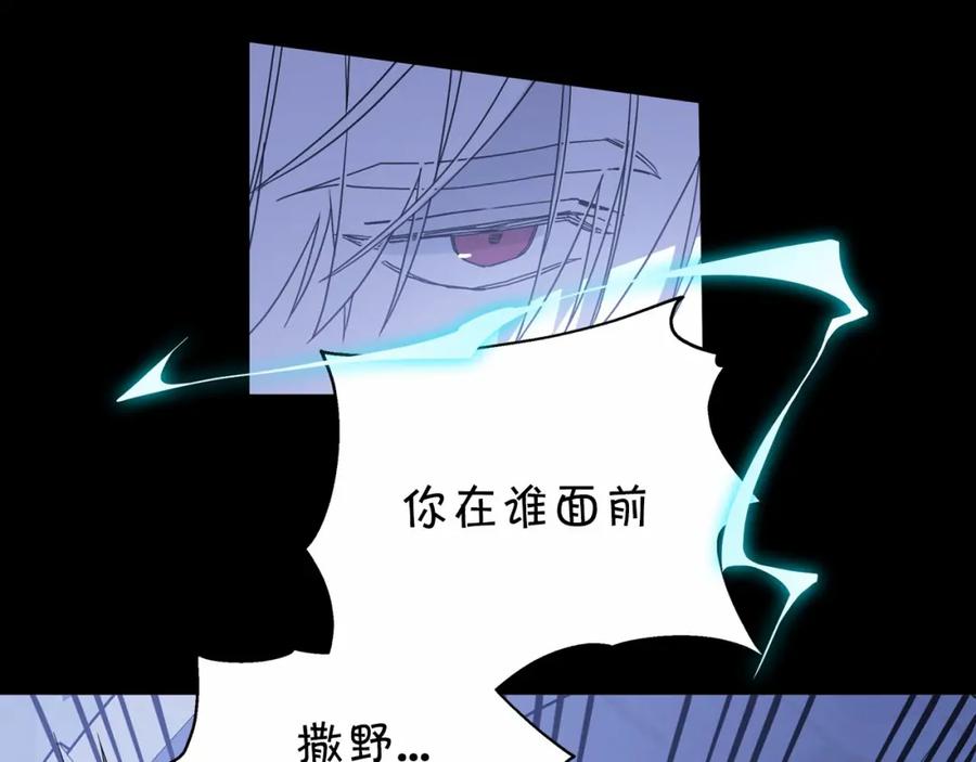 第223页