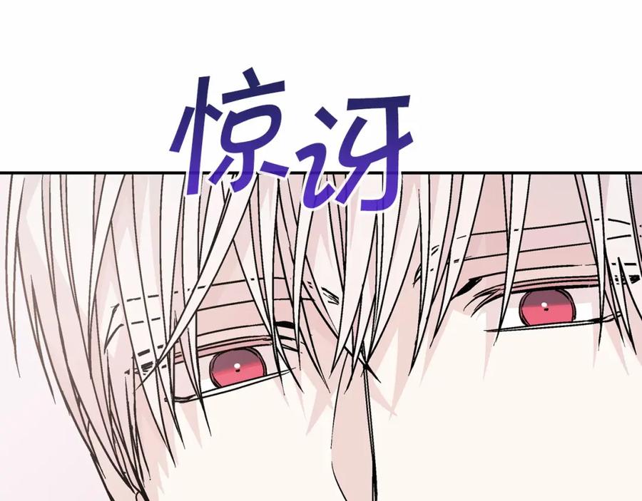 第243页