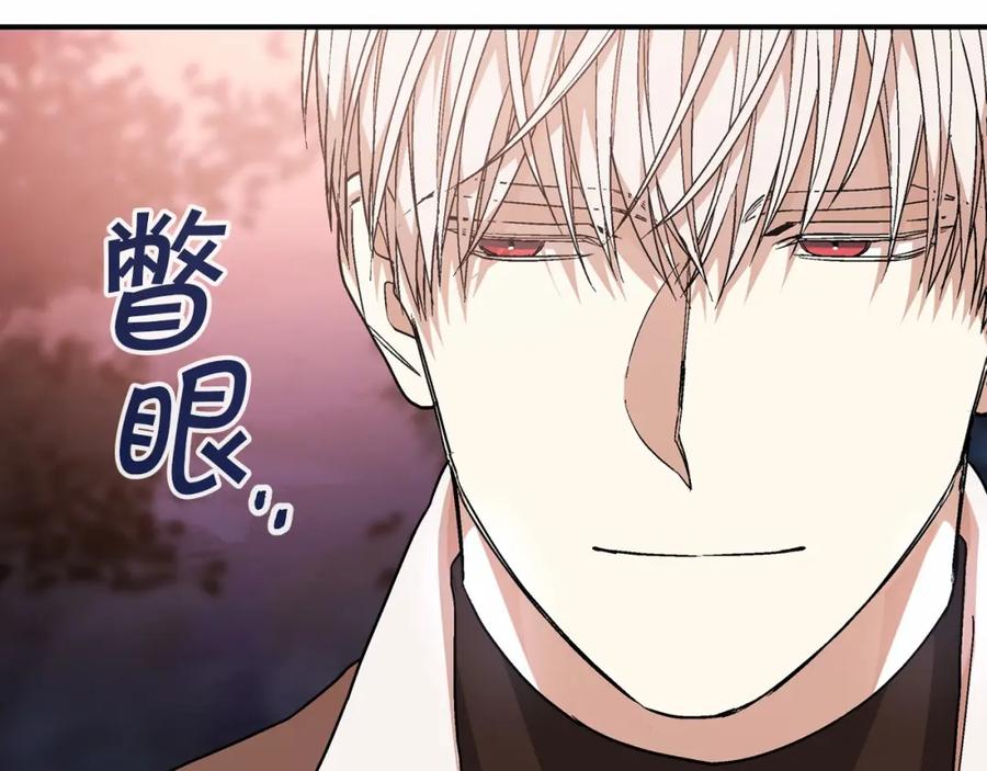 第239页