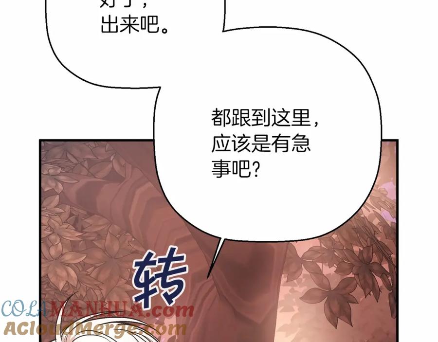 第241页