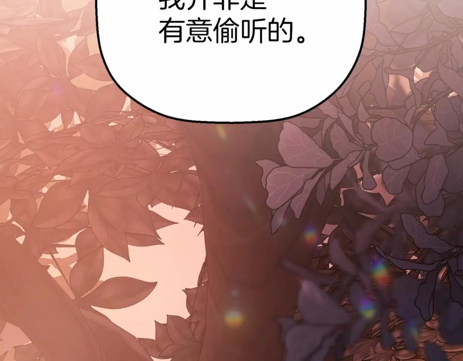 第247页