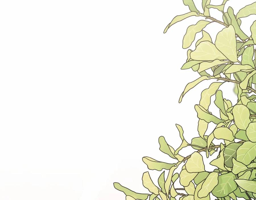 第230页