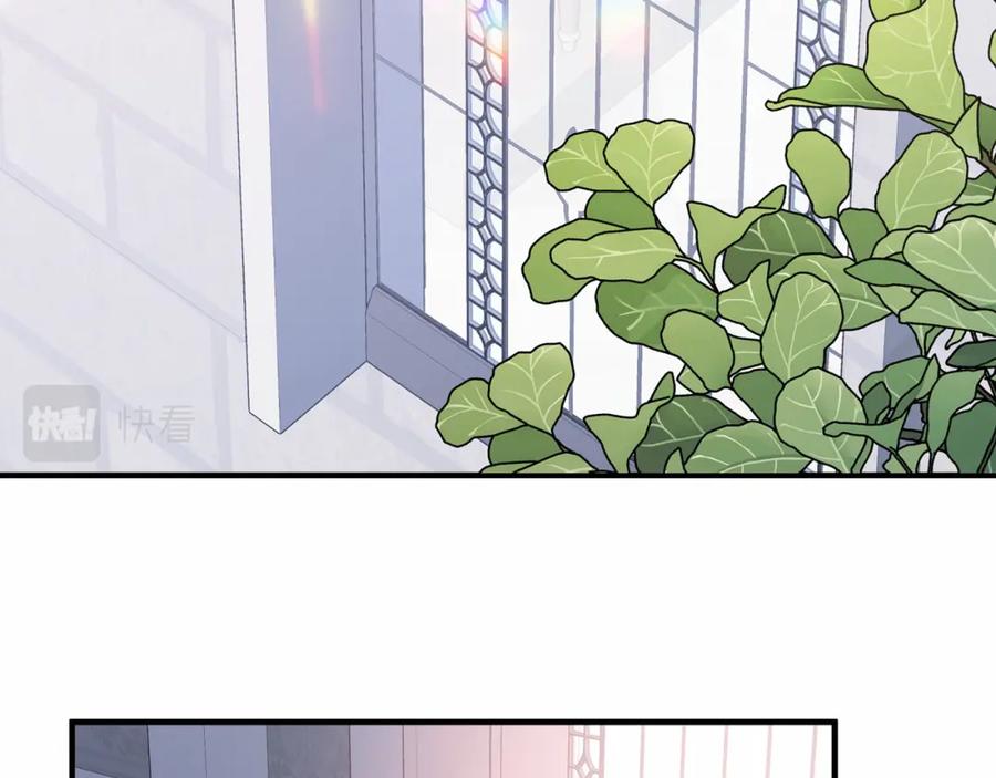 第234页