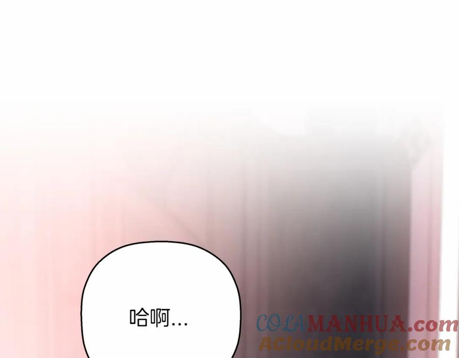 第237页