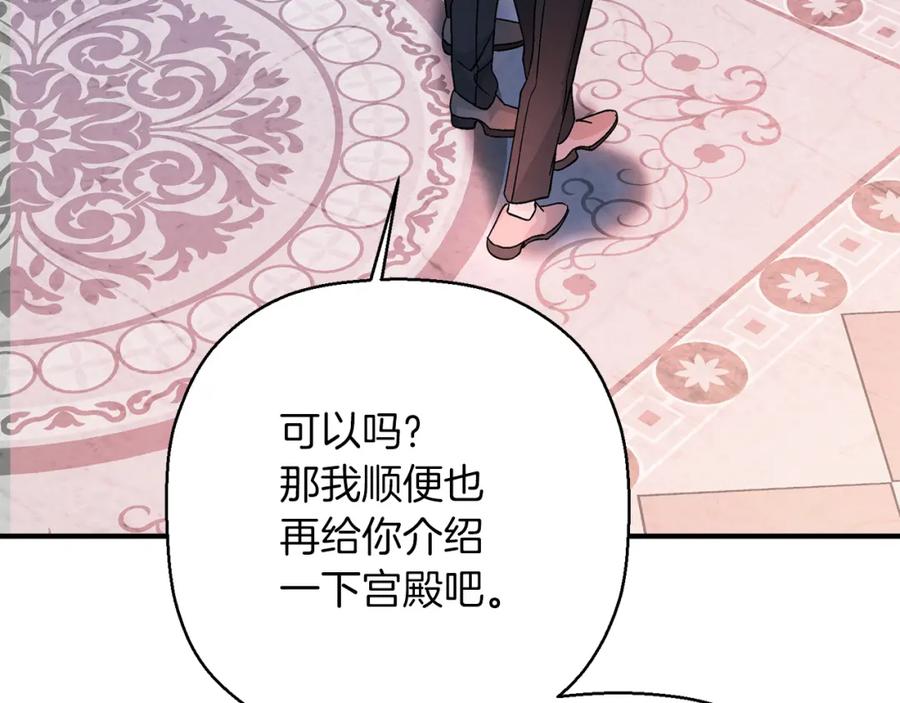 第259页