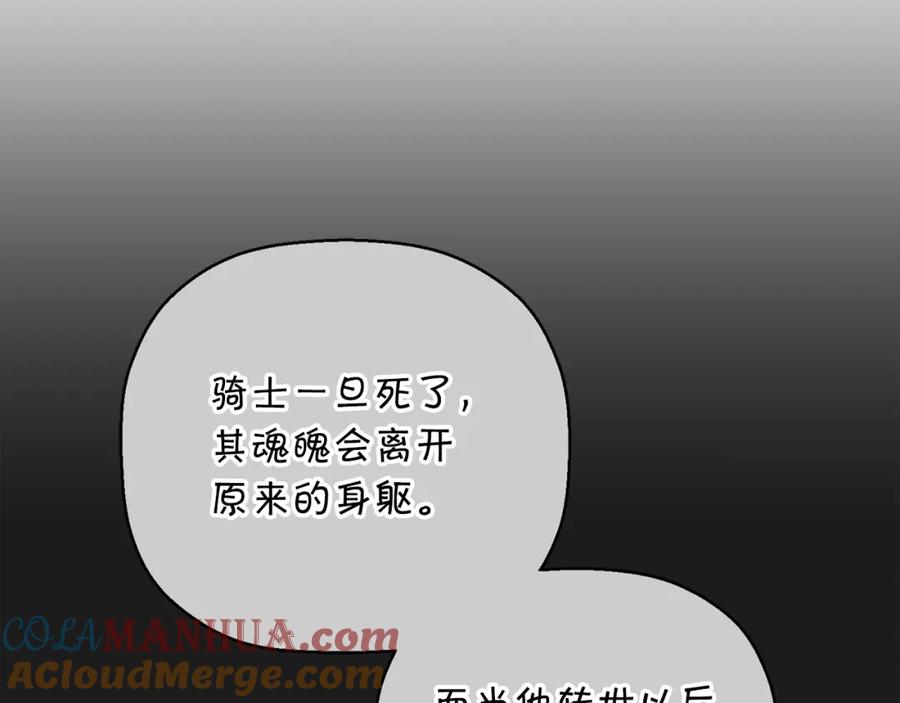 第241页