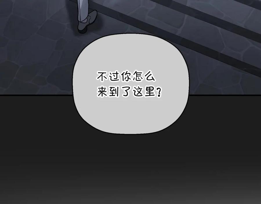 第267页