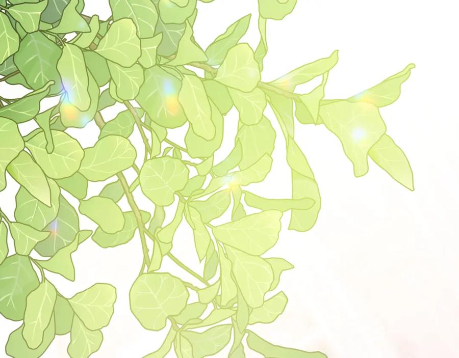 第204页