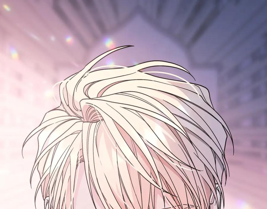 第242页