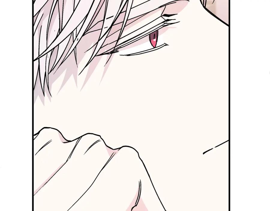 第246页