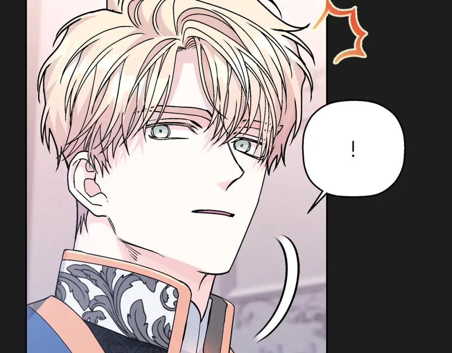 第236页