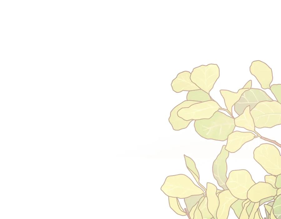 第234页