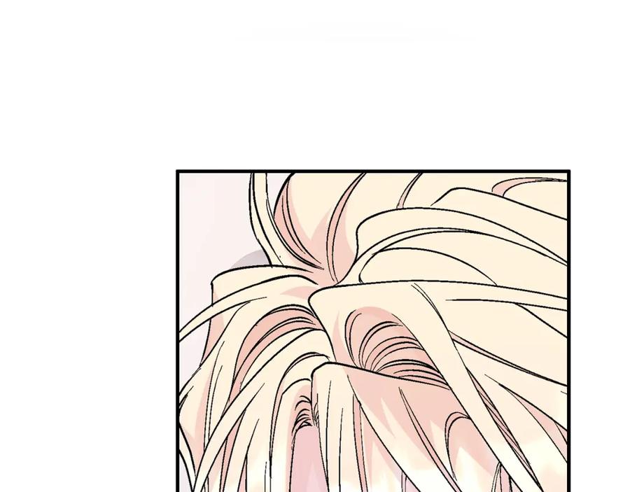 第242页