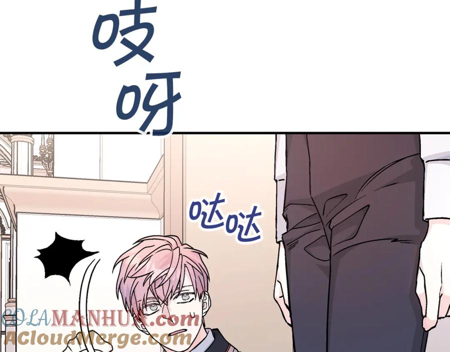第217页