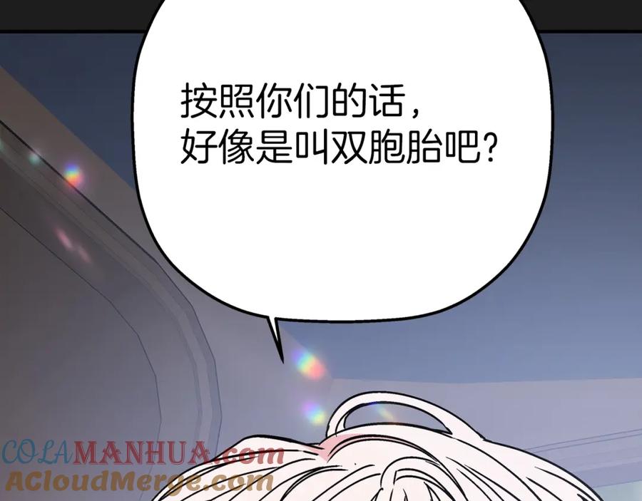 第537页