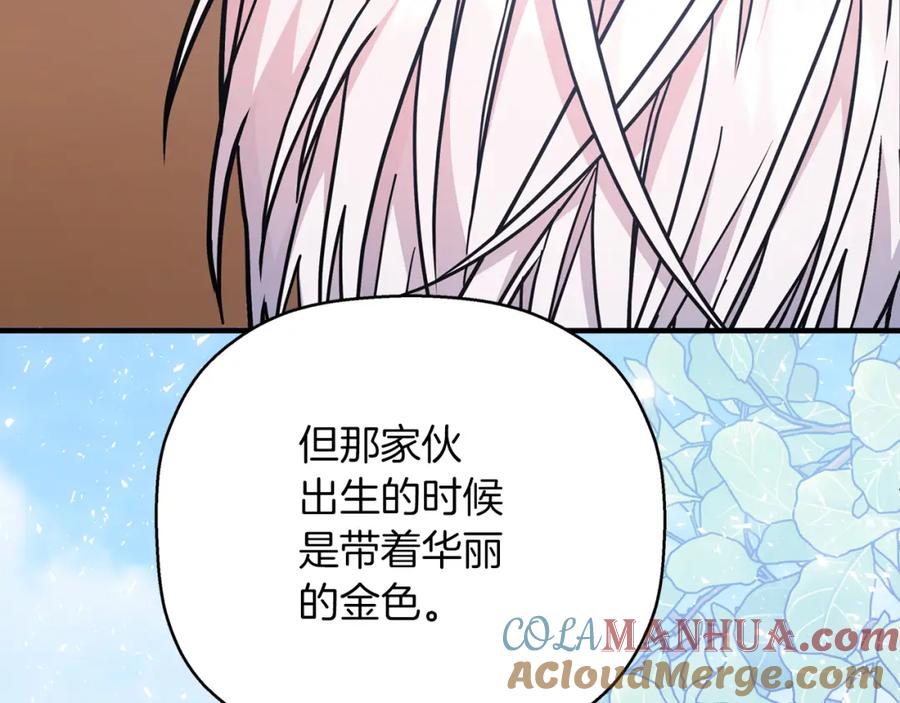 第561页