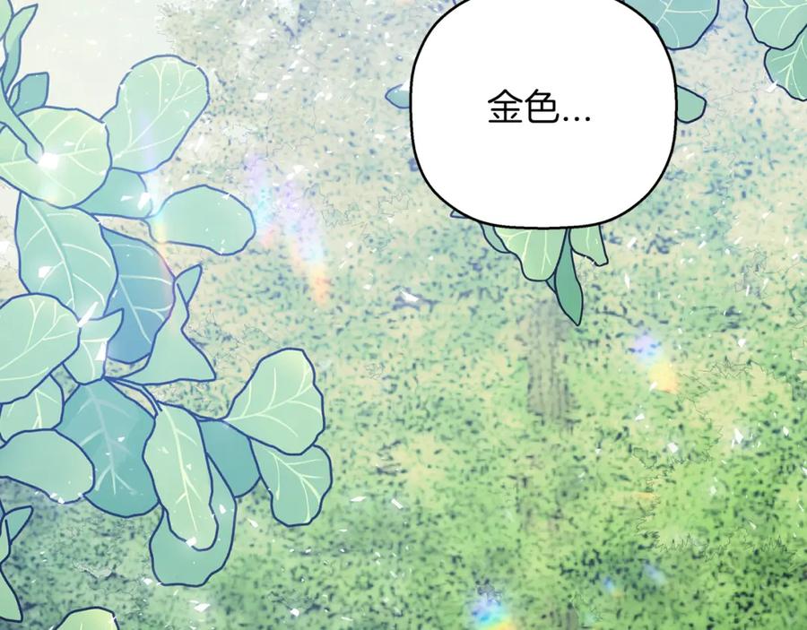 第566页