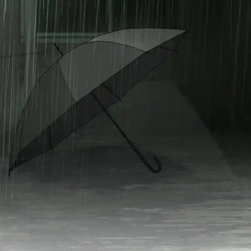 第239页