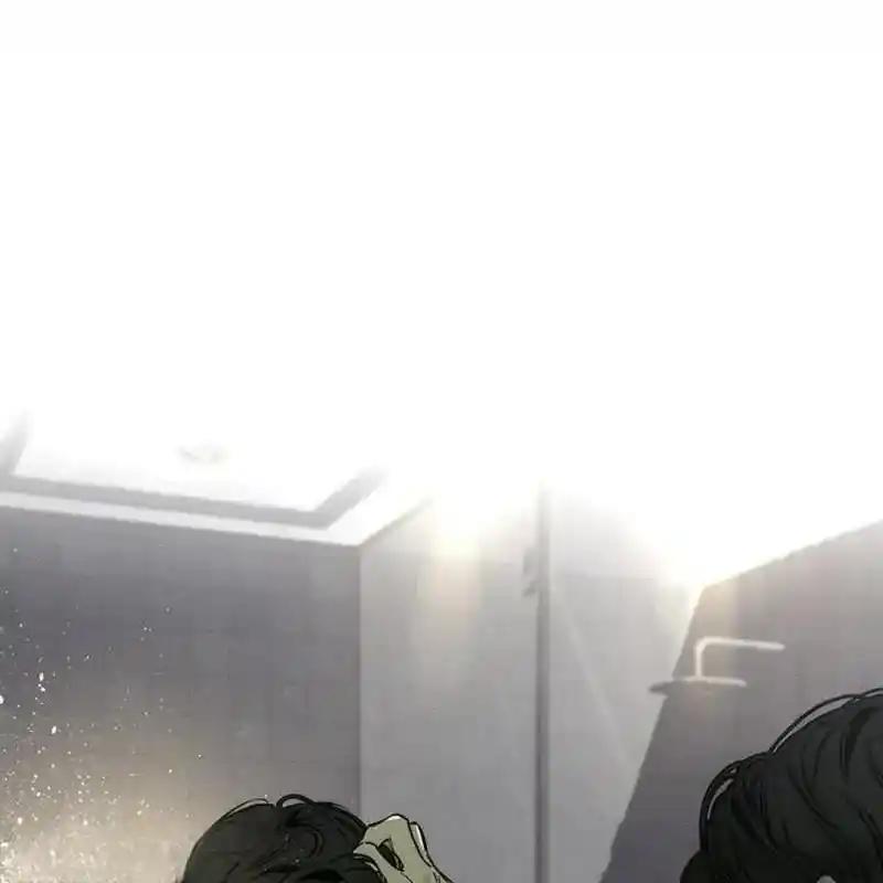 第242页