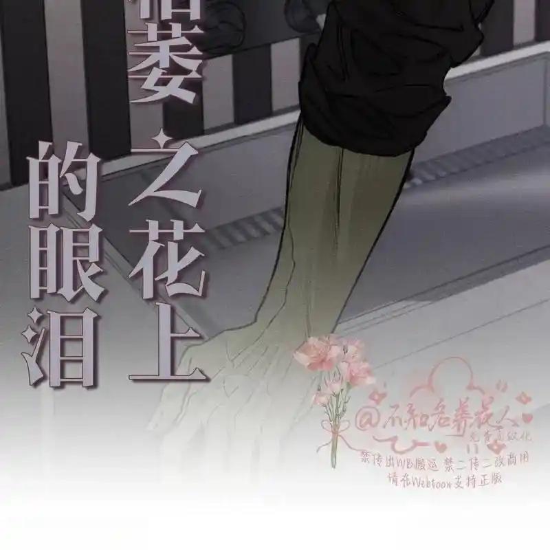 第244页