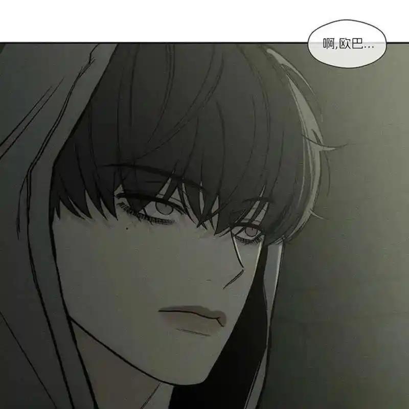 第223页