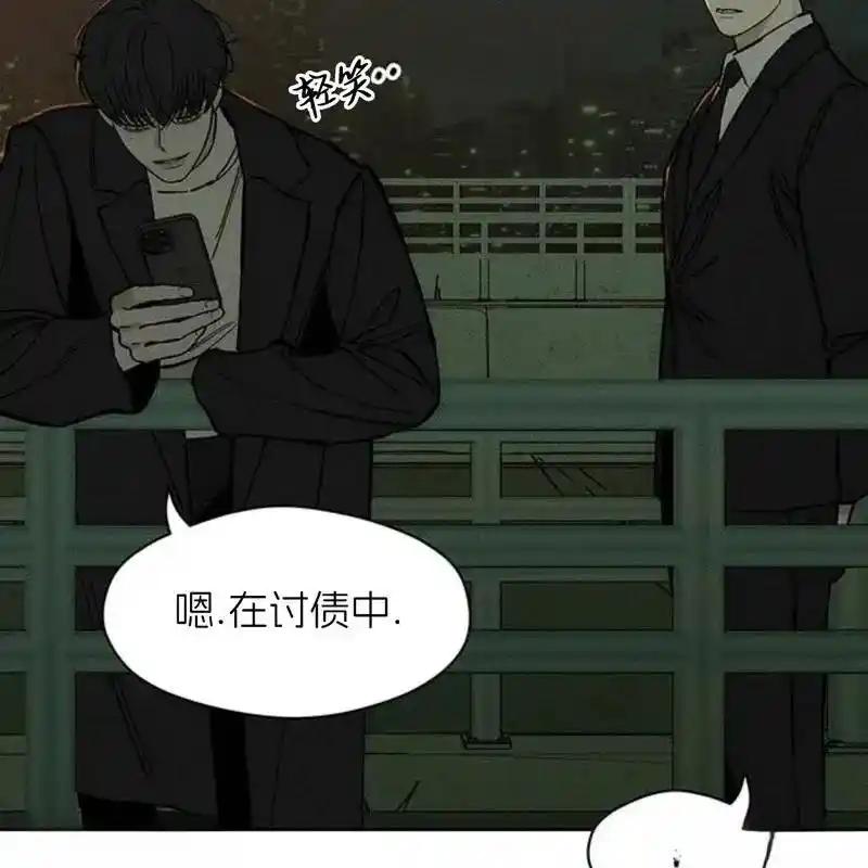 第204页