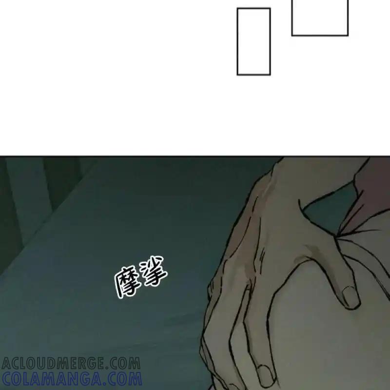 第185页