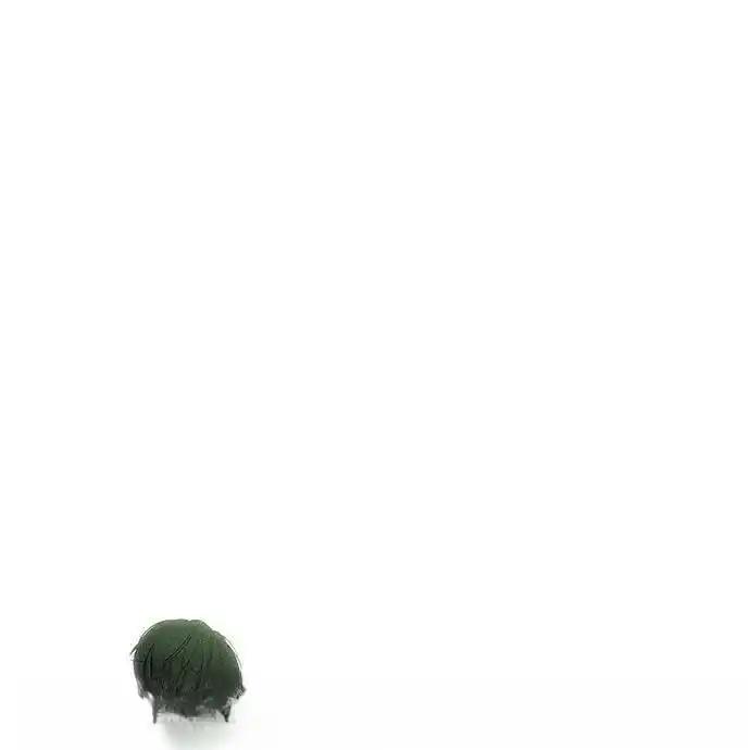 第216页