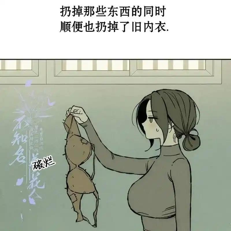 第204页