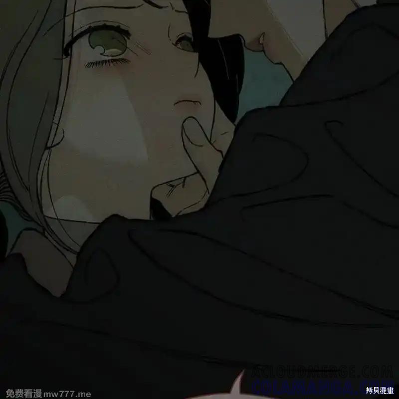 第217页