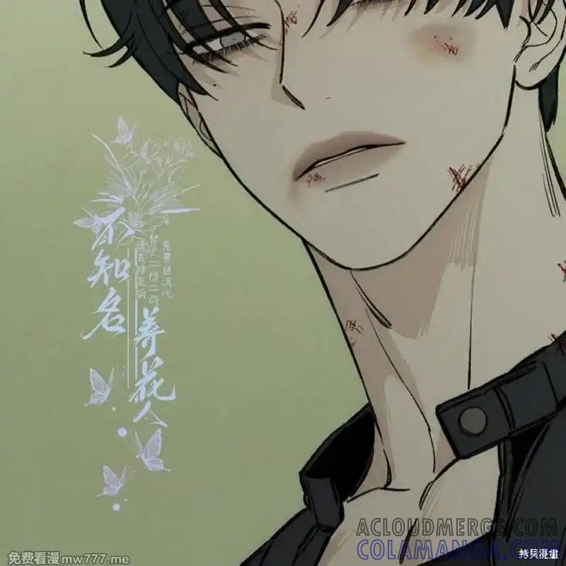 第213页