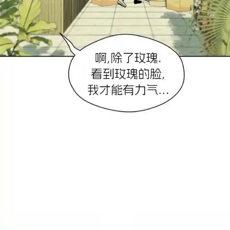 第215页