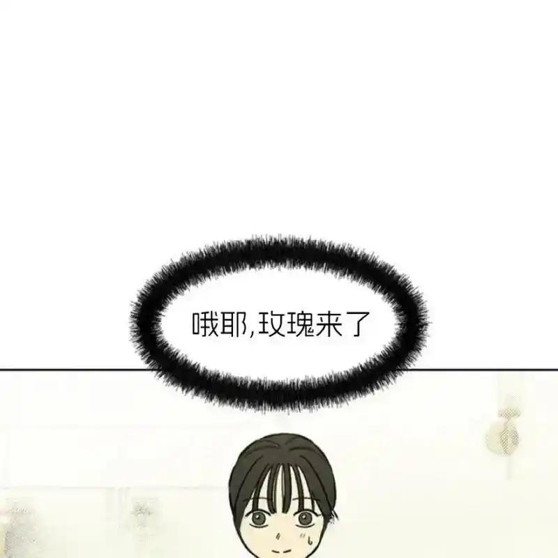 第223页