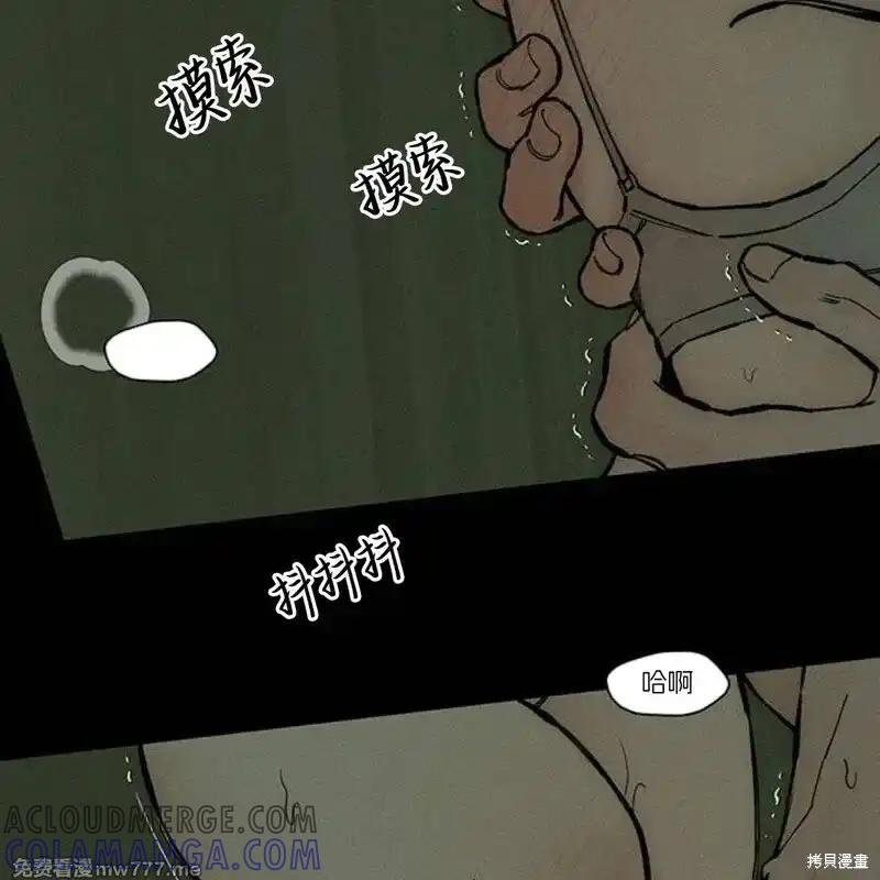第81页